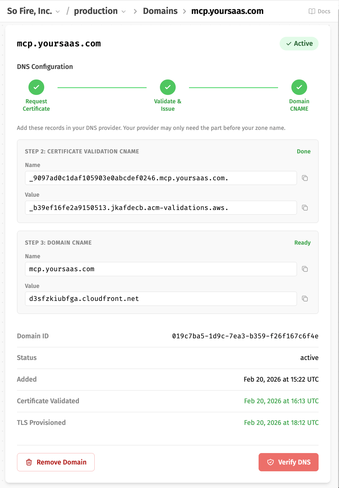 Custom Domains